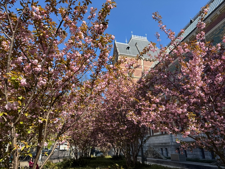 The outdoor garden