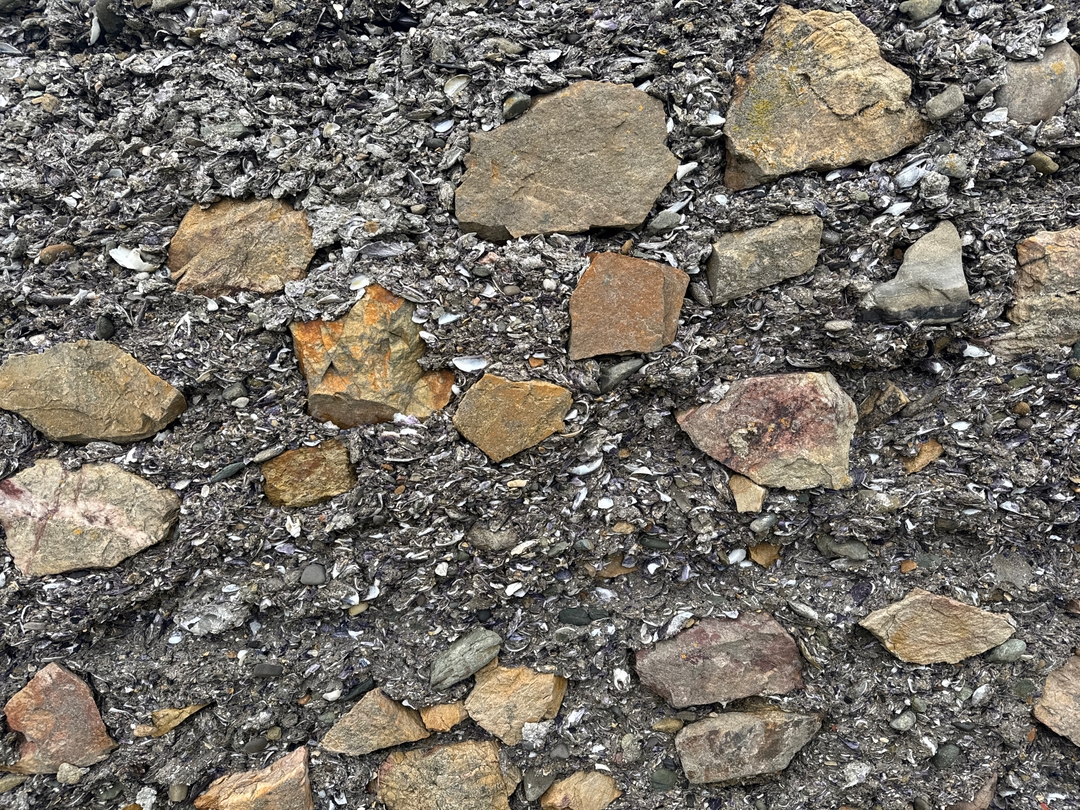 An interesting wall made of shells